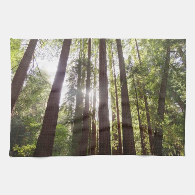 Up to Redwoods in the Morning Tea Towel (Horizontal)