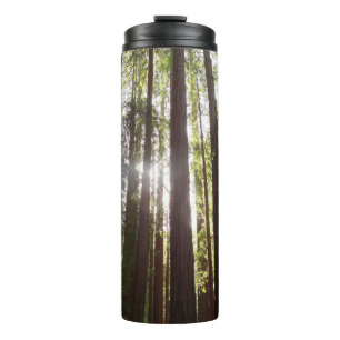 Up to Redwoods in the Morning Thermal Tumbler