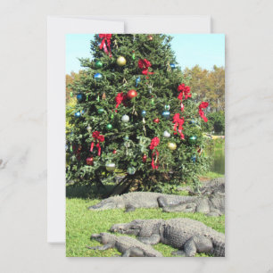 Up To Your Neck in Alligators - Humour  - Flat Holiday Card