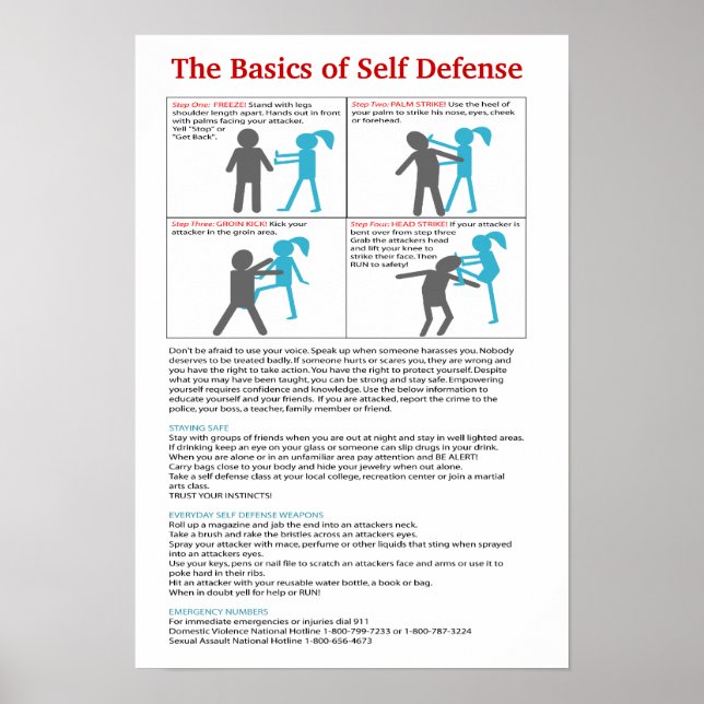 Updated Basics of Self Defence Poster (Front)