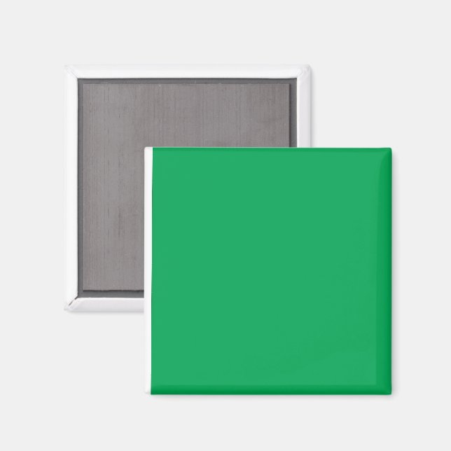 Upgrade Your Web Design with a Green Background Magnet (Front/Back)