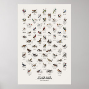 Upland Birds - Naturalist's Library Poster