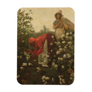 Upland Cotton Magnet