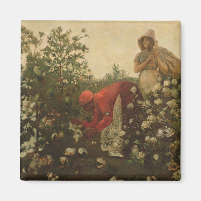 Upland Cotton Magnet (Front)