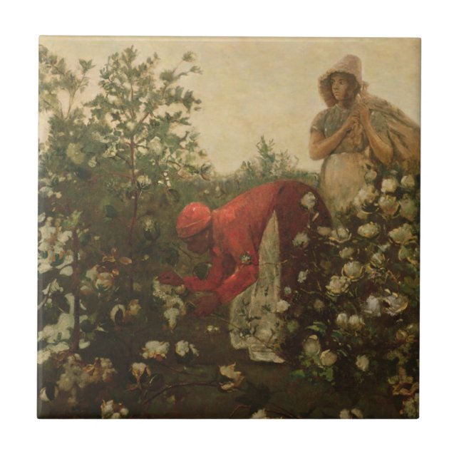 Upland Cotton Tile (Front)