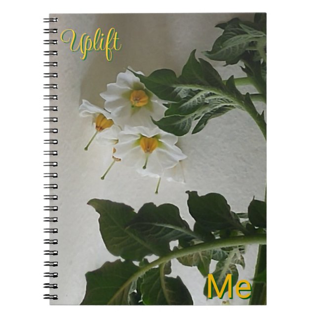 Uplift Me Notebook (Front)