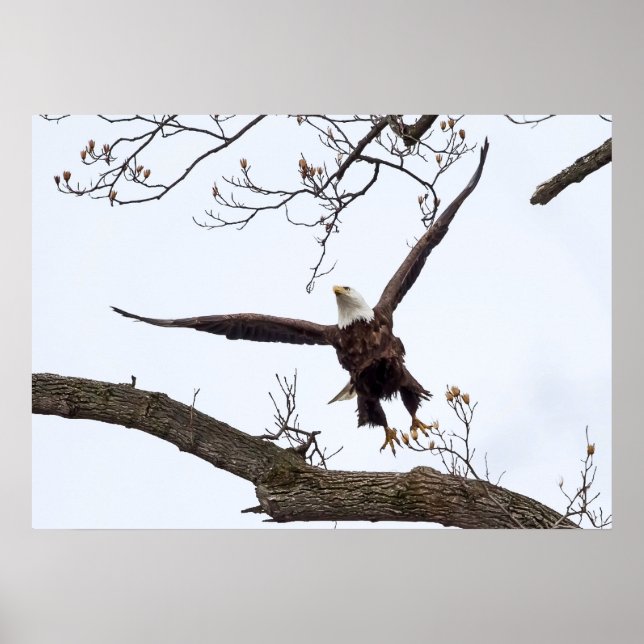 Uplifting Poster (Front)