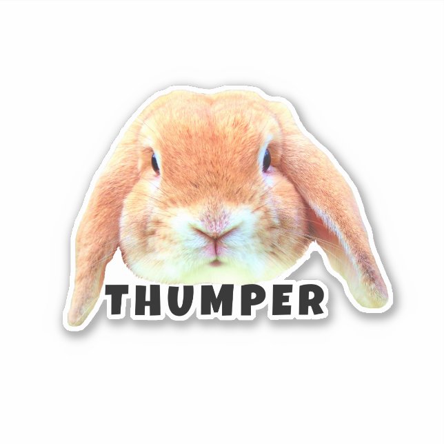 Upload Your Pet Bunny Face and Name Personalised (Front)