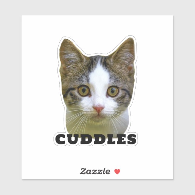 Upload Your Pet Photo & Name Personalised Sticker (Sheet)