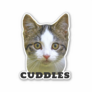 Upload Your Pet Photo & Name Personalised Sticker