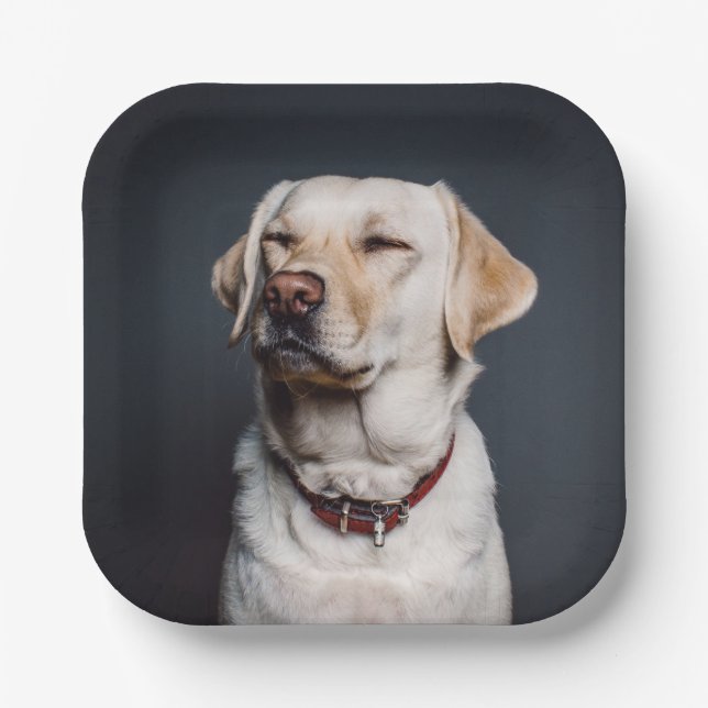 Upload your photo paper plate (Front)