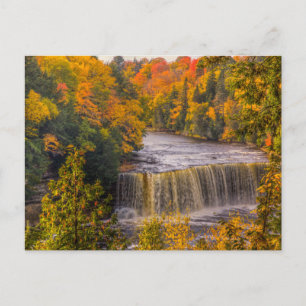 Upper Falls with Fall Colours Postcard