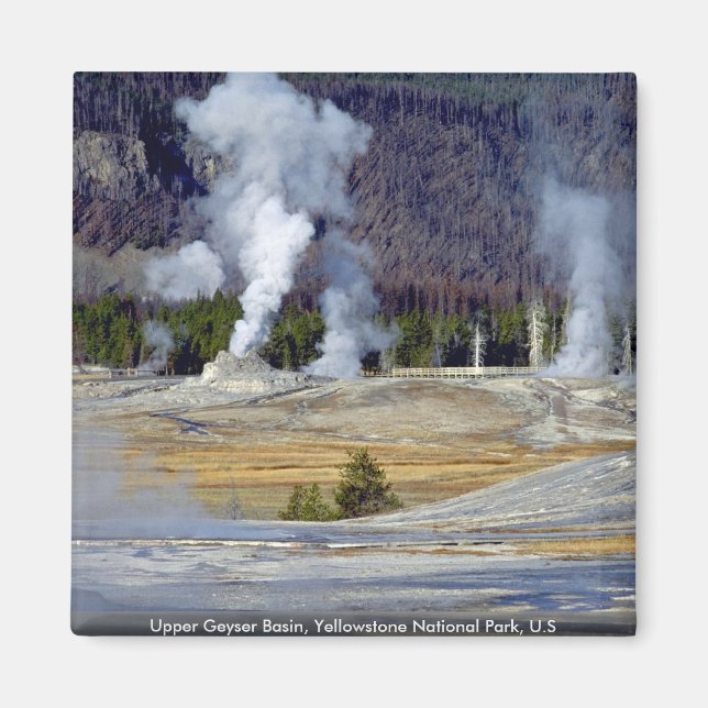 Upper Geyser Basin, Yellowstone National Park, U.S Magnet (Front)