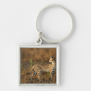 Upper Mara, Masai Mara Game Reserve, Kenya, Key Ring