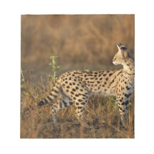 Upper Mara, Masai Mara Game Reserve, Kenya, Notepad