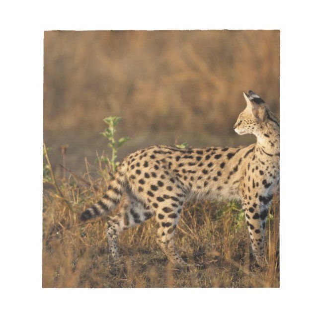 Upper Mara, Masai Mara Game Reserve, Kenya, Notepad (Front)