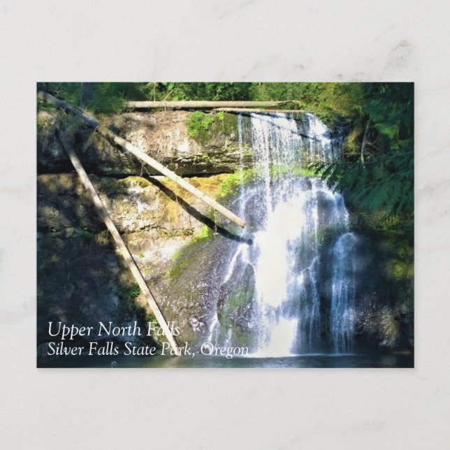 Upper North Falls, OR Postcard (Front)