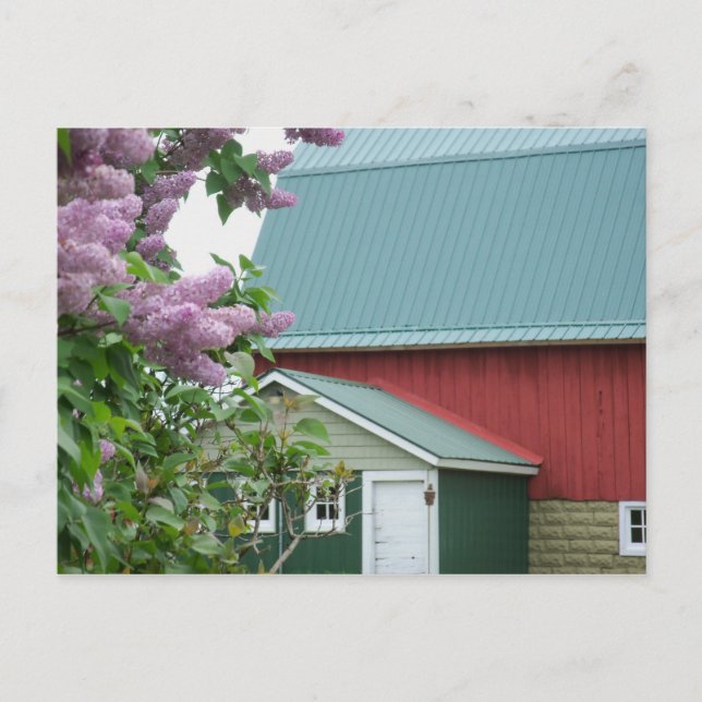 Upper Peninsula Michigan Red Barn Lilac Postcard (Front)