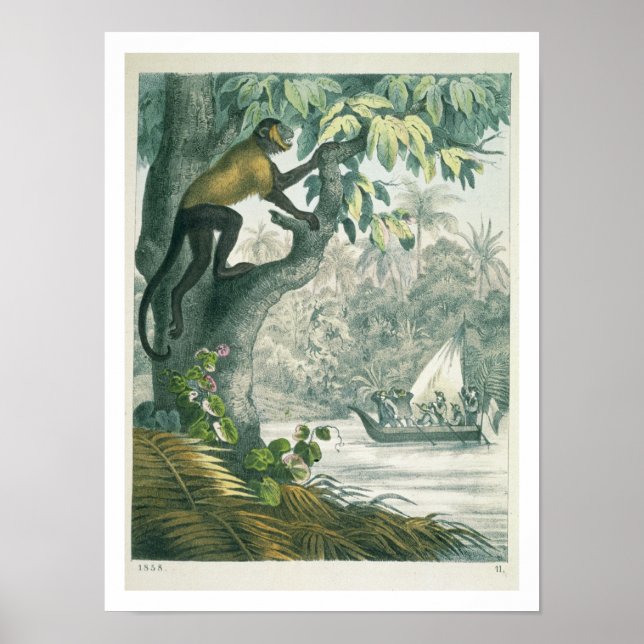 Upper reaches of the Amazon, from 'Das Buch der We Poster (Front)