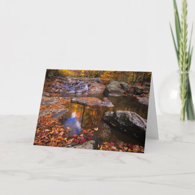 Upper Whiteoak Falls, Shenandoah National Park, VA Card (Front)