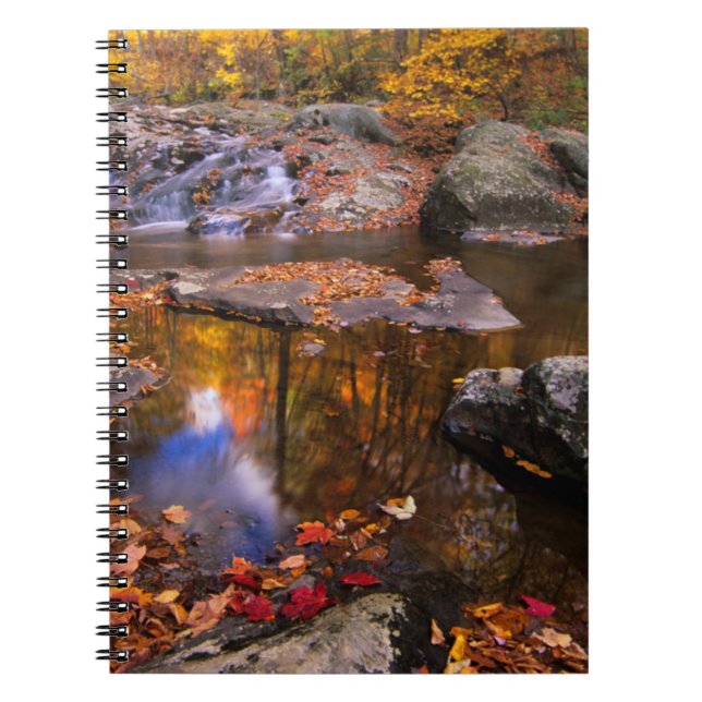 Upper Whiteoak Falls, Shenandoah National Park, VA Notebook (Front)