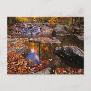 Upper Whiteoak Falls, Shenandoah National Park, VA Postcard