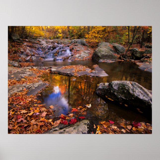 Upper Whiteoak Falls, Shenandoah National Park, VA Poster (Front)