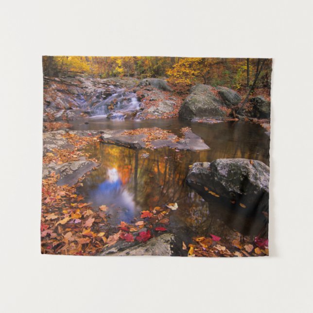 Upper Whiteoak Falls, Shenandoah National Park, VA Tapestry (Front (Horizontal))