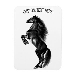 Upright Black Wild Horse - Black and White Drawing Magnet