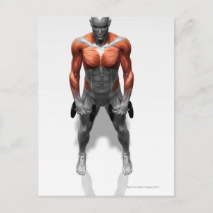 Upright Row Exercise Postcard