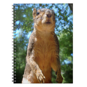 Upright Squirrel Notebook