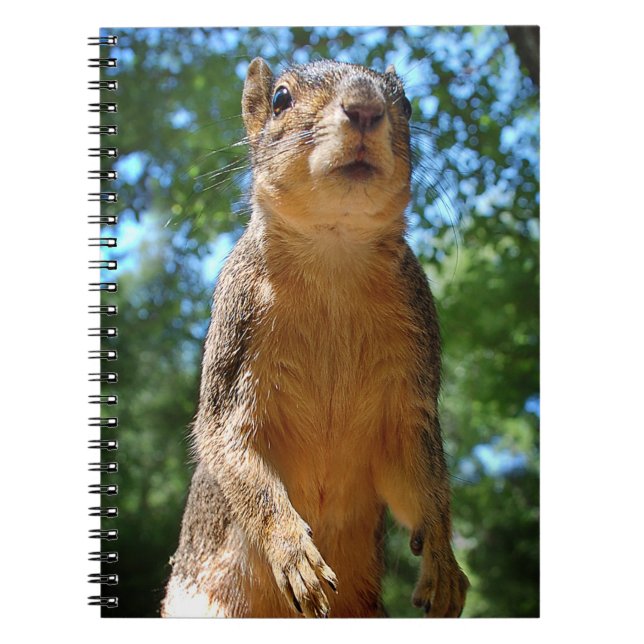 Upright Squirrel Notebook (Front)