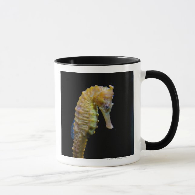 upright swimmerequine shapeprehensile taillong mug (Right)