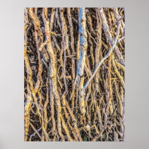 Uprooted 4 Print, Poster Paper (Semi-Gloss)