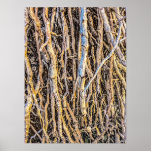Uprooted 4 Print, Poster Paper (Semi-Gloss)