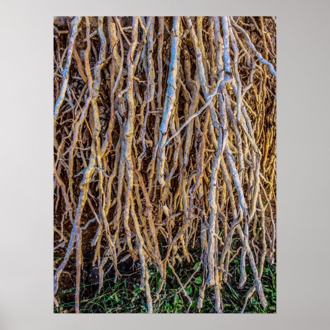 Uprooted 7 Print, Poster Paper (Semi-Gloss) (Front)