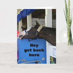 UPSET COMEDIC HORSE SAYS **HAPPY BIRTHDAY** CARD