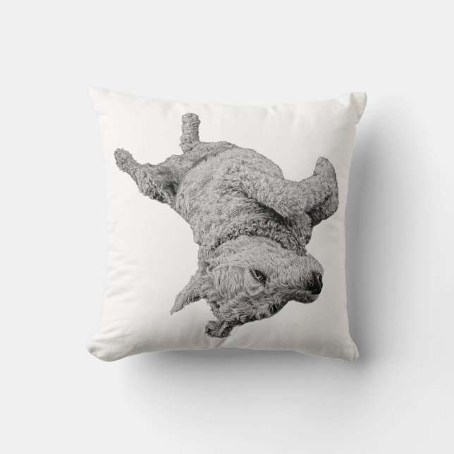 Upside-Down Bliss Cushion (Front)