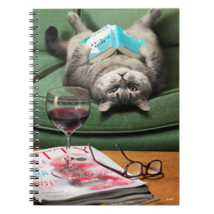 Upside Down Cat Reading Book