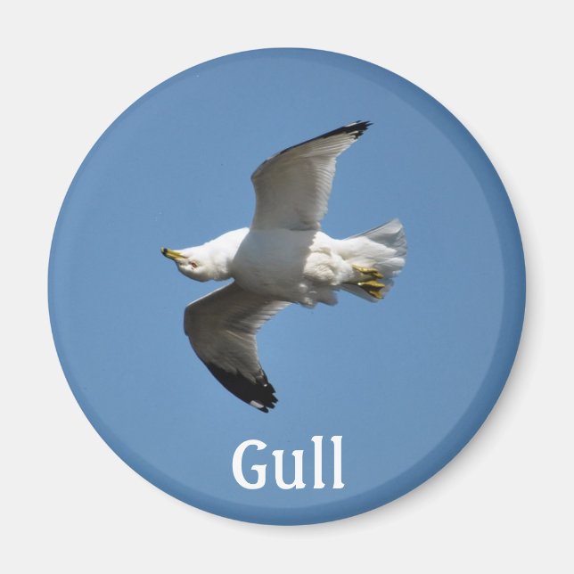 Upside-down Flying Gull Wildlife Collection Magnet (Front)