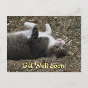 Upside Down Kitty Get Well Postcard