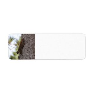 Upside Down Squirrel Address Label Return Address Label