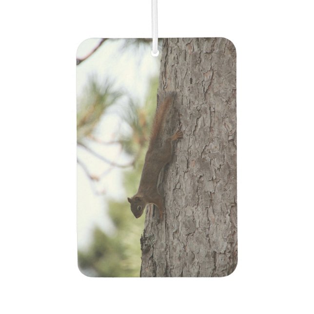 Upside Down Squirrel Car Air Freshener (Front)