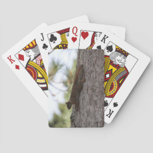 Upside Down Squirrel Playing Cards