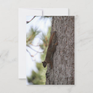 Upside Down Squirrel Response Card