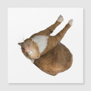 Upside-Down Sunshine