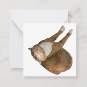 Upside-Down Sunshine Cat Card