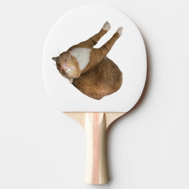 Upside-Down Sunshine Cat Ping Pong Paddle (Front)