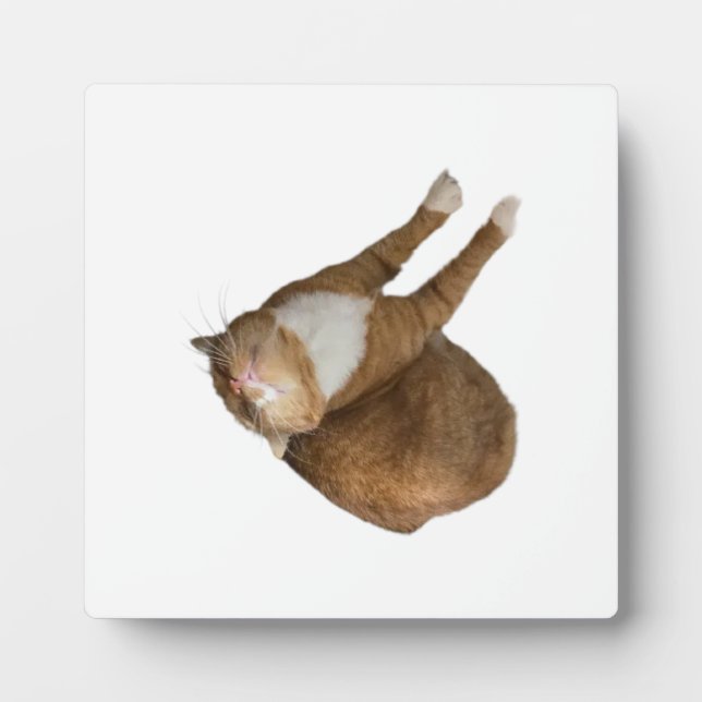 Upside-Down Sunshine Cat Plaque (Front)
