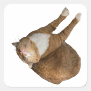 Upside-Down Sunshine Cat Square Sticker